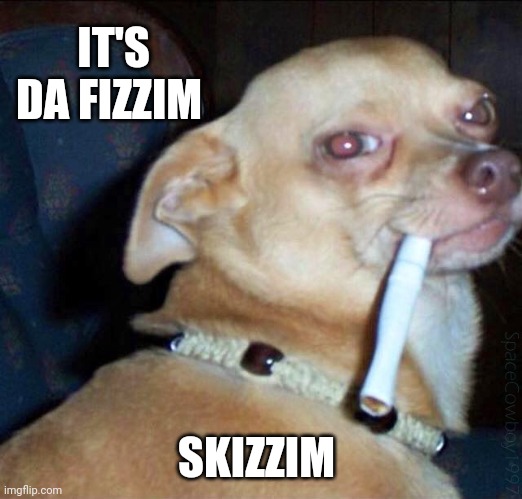 Snoop Dog | IT'S DA FIZZIM SKIZZIM | image tagged in snoop dog | made w/ Imgflip meme maker