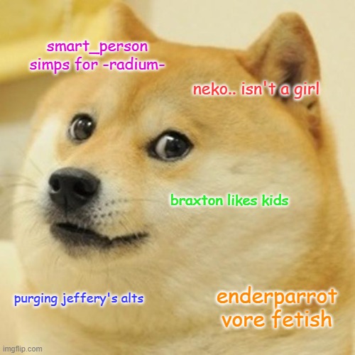 Doge | smart_person simps for -radium-; neko.. isn't a girl; braxton likes kids; enderparrot vore fetish; purging jeffery's alts | image tagged in memes,doge | made w/ Imgflip meme maker