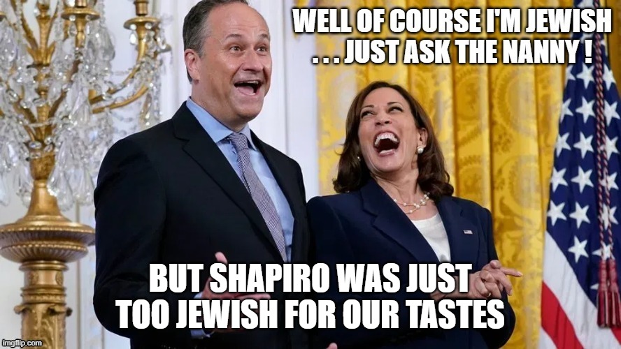 Why Kamala Didn't Pick Shapiro | BUT SHAPIRO WAS JUST TOO JEWISH FOR OUR TASTES | image tagged in kamala harris,doug emhoff,nanny | made w/ Imgflip meme maker