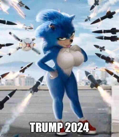 TRUMP 2024 | image tagged in schlo | made w/ Imgflip meme maker