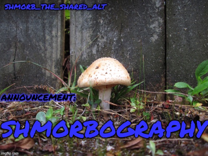 Shmorb temp | SHMORBOGRAPHY | image tagged in shmorb temp | made w/ Imgflip meme maker