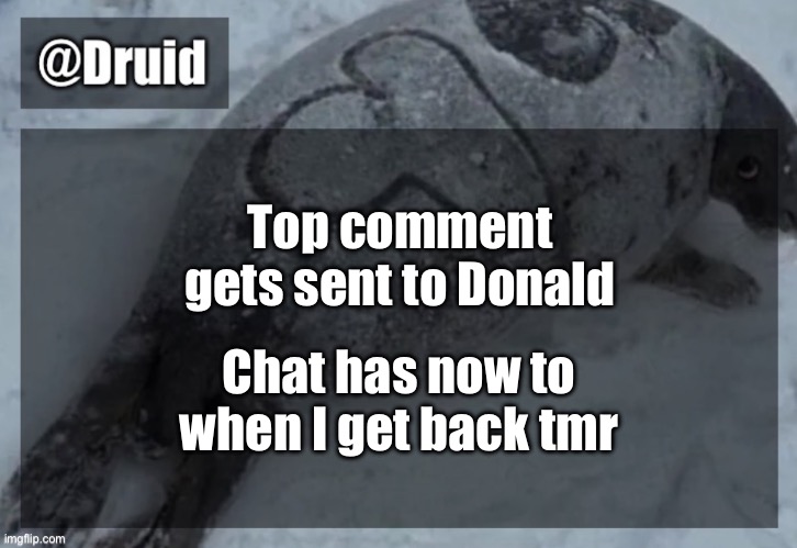 Old announcement temp | Top comment gets sent to Donald; Chat has now to when I get back tmr | image tagged in y | made w/ Imgflip meme maker