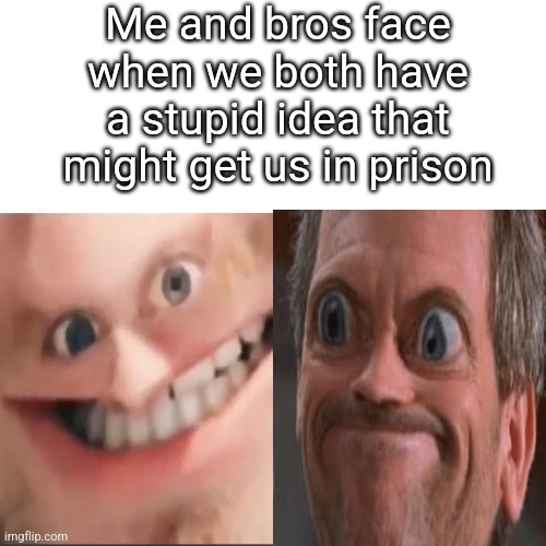 Random Meme | Me and bros face when we both have a stupid idea that might get us in prison | image tagged in memes,dr house,face | made w/ Imgflip meme maker