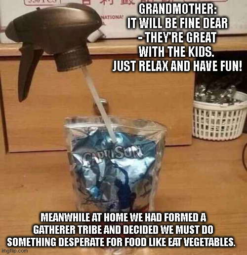 The trials of parenting and not being the cook | GRANDMOTHER: IT WILL BE FINE DEAR - THEY'RE GREAT WITH THE KIDS.  JUST RELAX AND HAVE FUN! MEANWHILE AT HOME WE HAD FORMED A GATHERER TRIBE AND DECIDED WE MUST DO SOMETHING DESPERATE FOR FOOD LIKE EAT VEGETABLES. | image tagged in caprisun toolstyle,caprisun,dads cooking,survival horror,parents,parenting | made w/ Imgflip meme maker