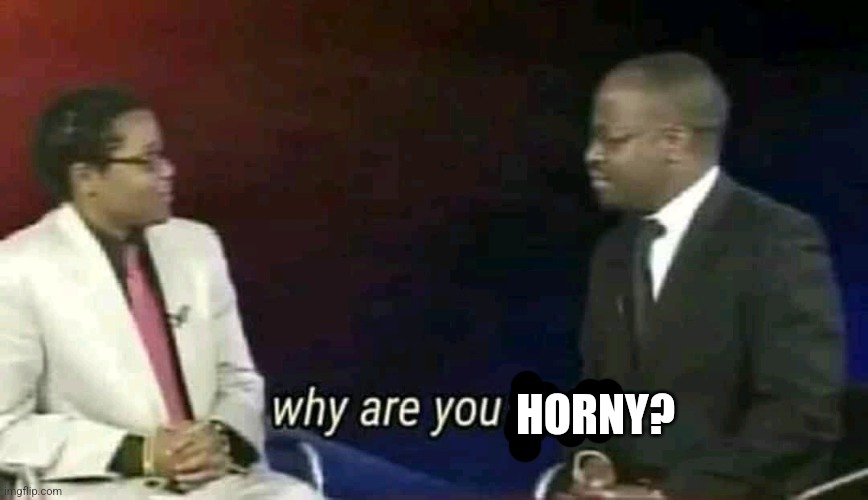 Why are you gay? | HORNY? | image tagged in why are you gay | made w/ Imgflip meme maker