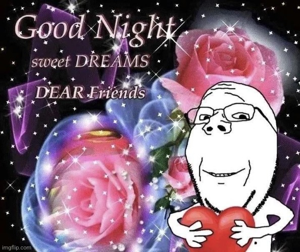 night bros | image tagged in soyjak gn | made w/ Imgflip meme maker