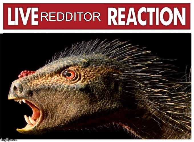 Live reaction | REDDITOR | image tagged in live reaction,memes,reddit,dinosaurs,shitpost,funny memes | made w/ Imgflip meme maker