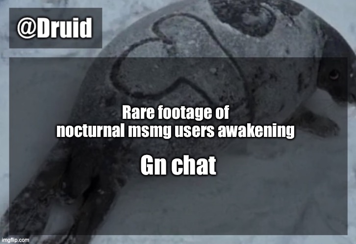 Old announcement temp | Rare footage of nocturnal msmg users awakening; Gn chat | image tagged in y | made w/ Imgflip meme maker