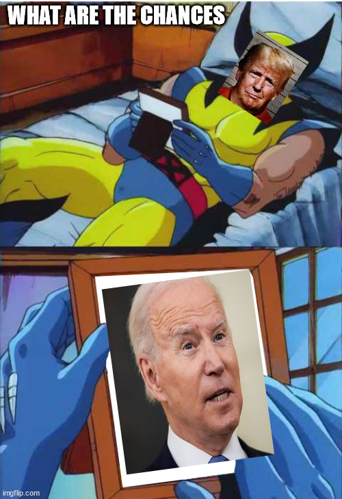Wolverine Remember | WHAT ARE THE CHANCES | image tagged in wolverine remember | made w/ Imgflip meme maker