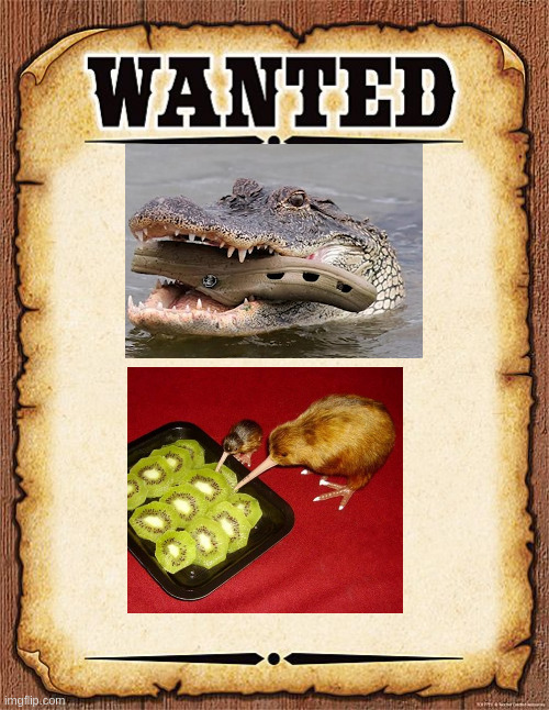 canigraphs | image tagged in wanted poster | made w/ Imgflip meme maker