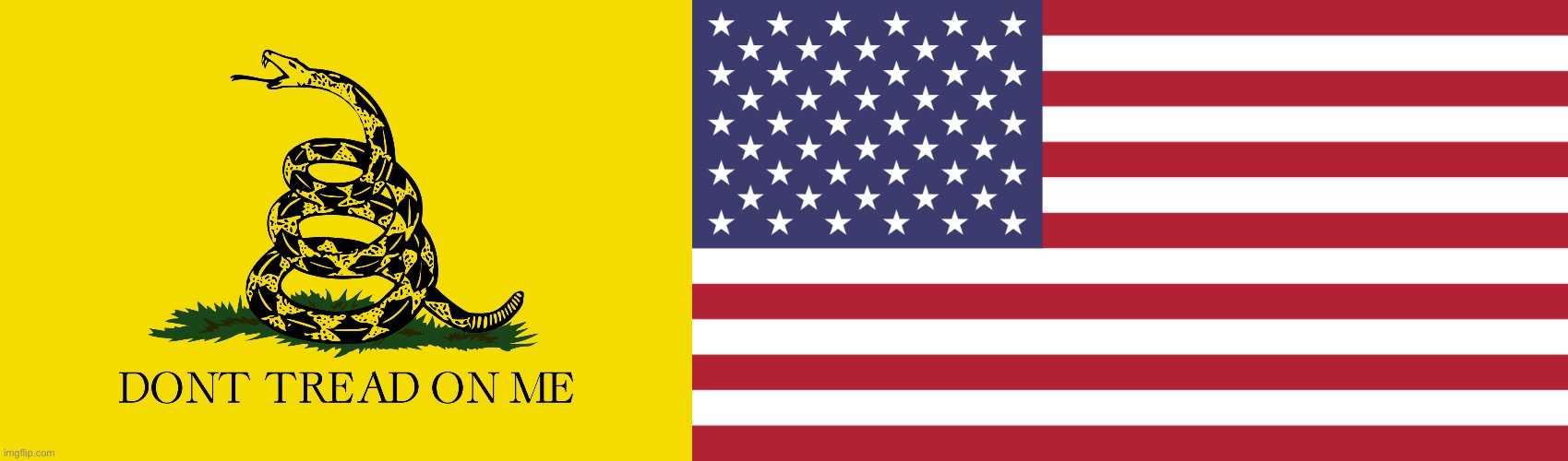 image tagged in gadsden flag,american flag | made w/ Imgflip meme maker