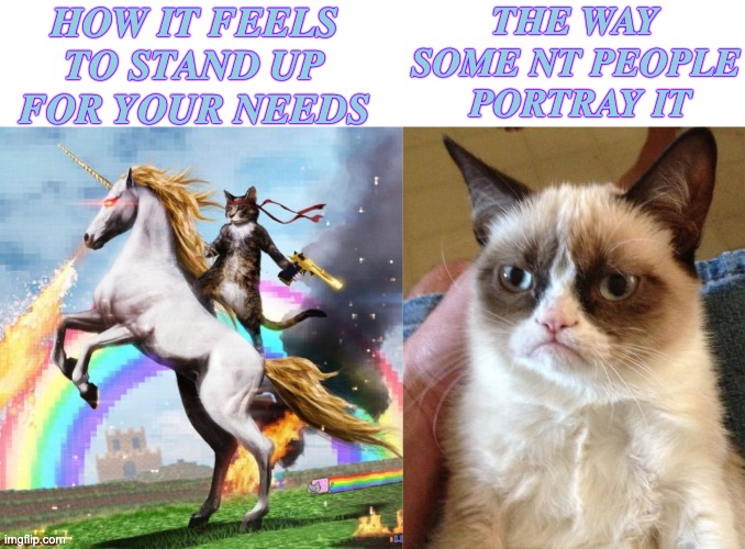 HOW IT FEELS TO STAND UP FOR YOUR NEEDS THE WAY SOME NT PEOPLE  PORTRAY IT | image tagged in memes,welcome to the internets,grumpy cat | made w/ Imgflip meme maker