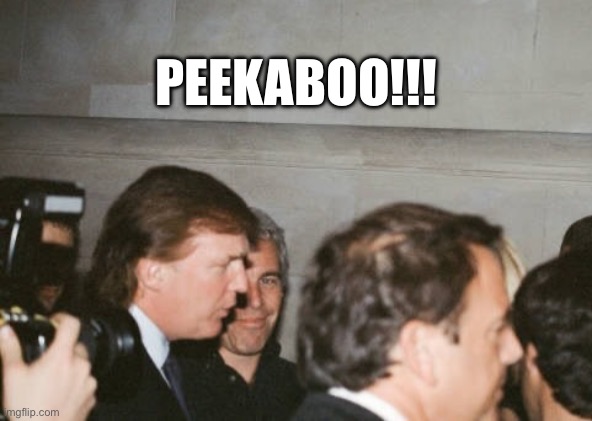 President Donald Trump | PEEKABOO!!! | image tagged in president donald trump | made w/ Imgflip meme maker