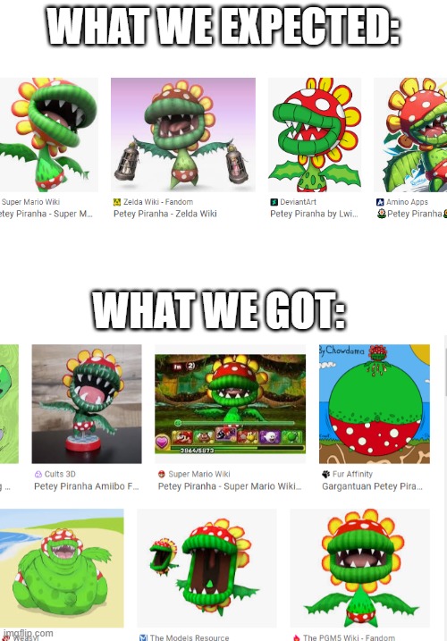 You had one job.. | WHAT WE EXPECTED:; WHAT WE GOT: | image tagged in memes,relatable,petey piranha,piranha,mario,super mario | made w/ Imgflip meme maker