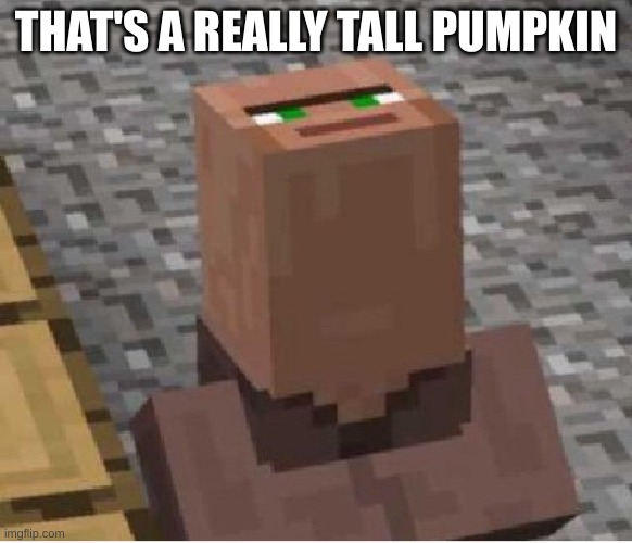 Minecraft Villager Looking Up | THAT'S A REALLY TALL PUMPKIN | image tagged in minecraft villager looking up | made w/ Imgflip meme maker