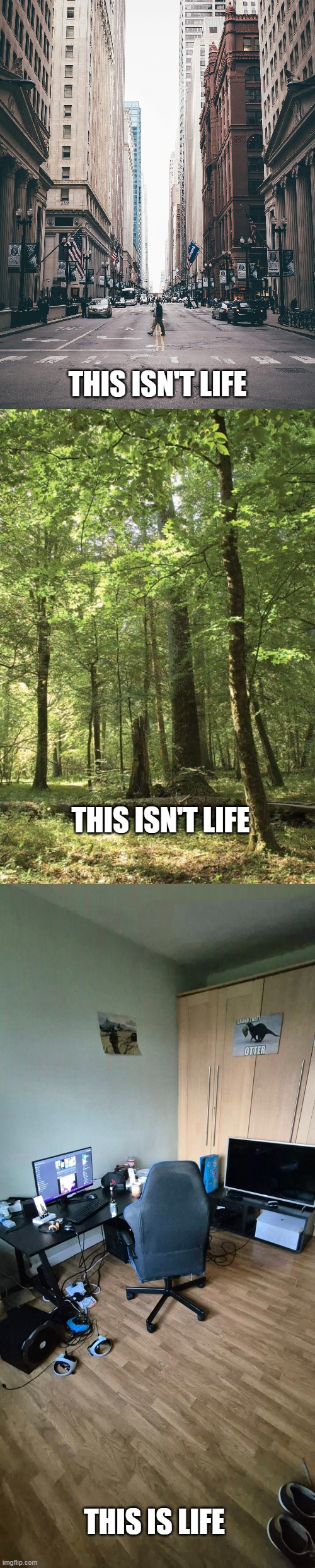 THIS ISN'T LIFE; THIS ISN'T LIFE; THIS IS LIFE | image tagged in this isnt life | made w/ Imgflip meme maker