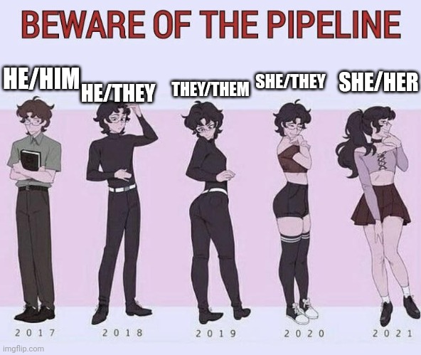 Ah yes. Subtlety. | HE/THEY; SHE/HER; THEY/THEM; SHE/THEY; HE/HIM | image tagged in beware of the pipeline | made w/ Imgflip meme maker