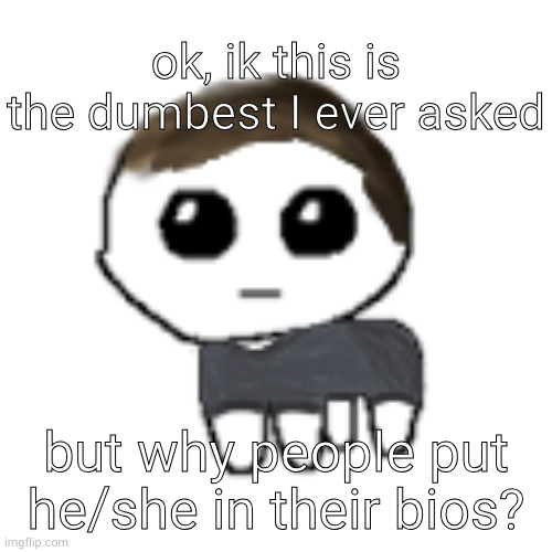 I assume they're non-binary | ok, ik this is the dumbest I ever asked; but why people put he/she in their bios? | image tagged in linus yippe,lgbtq | made w/ Imgflip meme maker