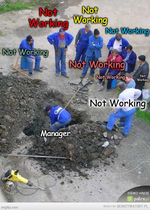 The Aciidental Manager | Not Working; Not Working; Not Working; Not Working; Not Working; Not Working; Not Working; Not Working; Manager | image tagged in teamwork | made w/ Imgflip meme maker