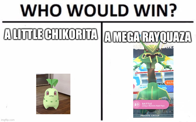 Mega raid stuff | A LITTLE CHIKORITA; A MEGA RAYQUAZA | image tagged in memes,who would win | made w/ Imgflip meme maker