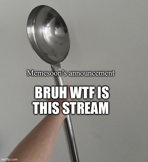 idk | BRUH WTF IS THIS STREAM | image tagged in memesoon announcement template | made w/ Imgflip meme maker