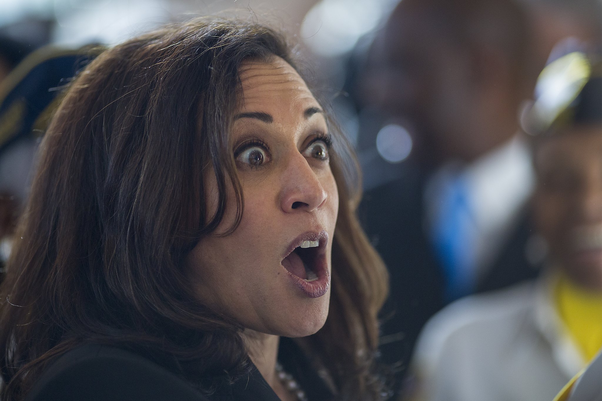 High Quality Kamala Cumalla Harris Blank Meme Template