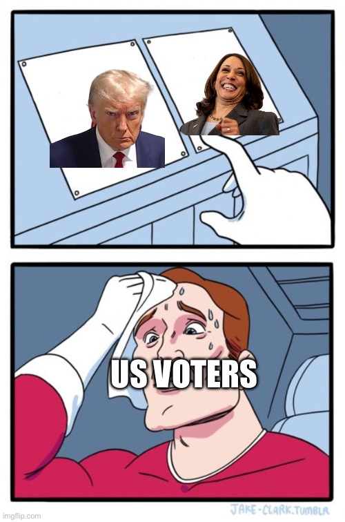 Two Buttons Meme | US VOTERS | image tagged in memes,two buttons | made w/ Imgflip meme maker