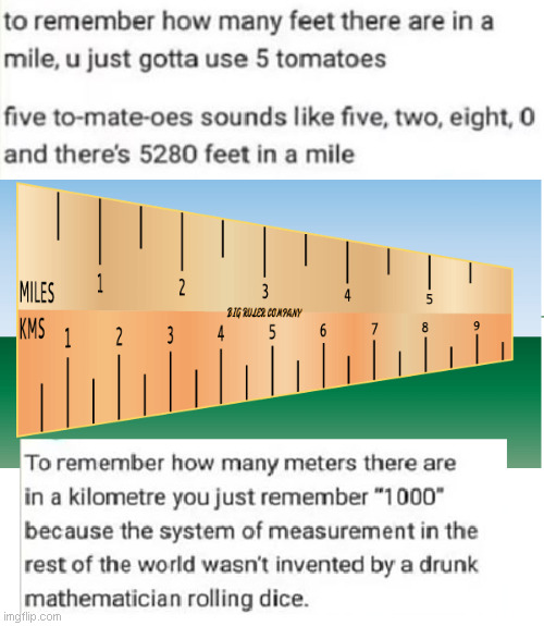 Imperial Vs Metric | image tagged in metric,imperial,america,why | made w/ Imgflip meme maker