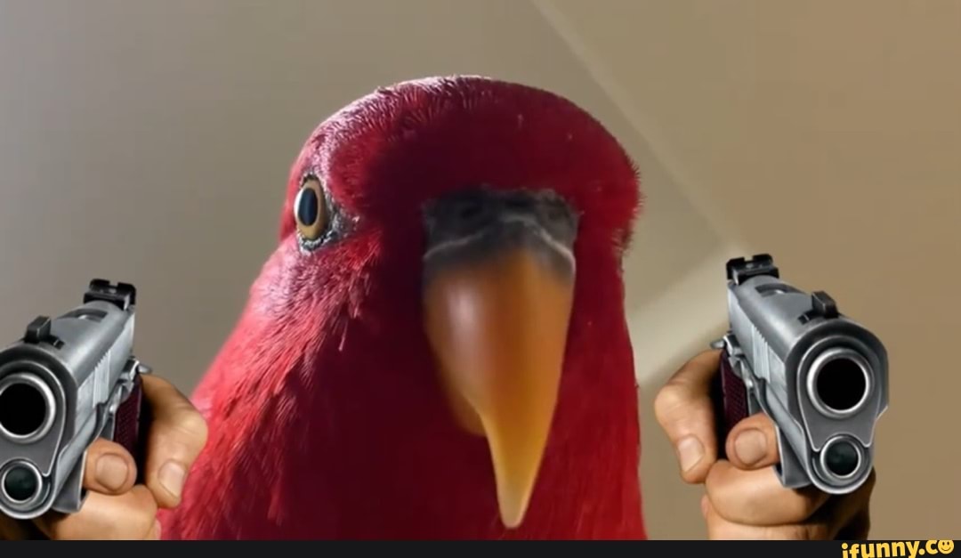 High Quality Bird with gun Blank Meme Template