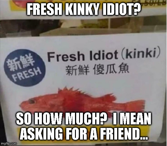 Fresh Kinki Idiot | FRESH KINKY IDIOT? SO HOW MUCH?  I MEAN ASKING FOR A FRIEND... | image tagged in fish,kinky,kinki idiot,kinki,play on words | made w/ Imgflip meme maker