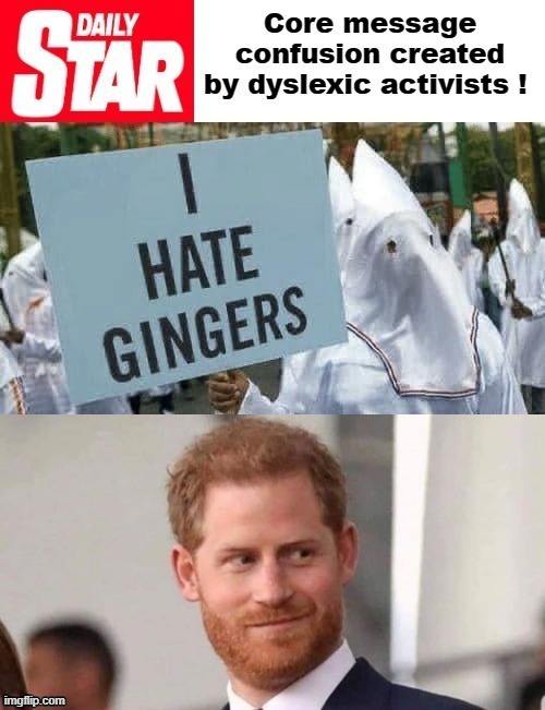 Dislexia | image tagged in gingers | made w/ Imgflip meme maker