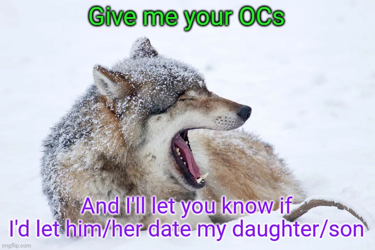 My alternative to pash or smass | Give me your OCs; And I'll let you know if I'd let him/her date my daughter/son | image tagged in yawning wolf | made w/ Imgflip meme maker