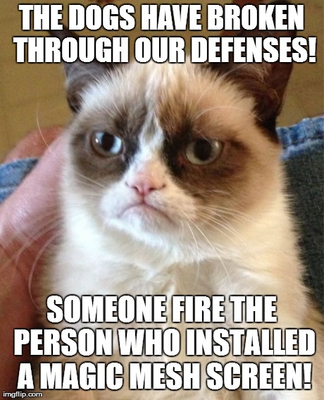 Grumpy Cat Meme | THE DOGS HAVE BROKEN THROUGH OUR DEFENSES! SOMEONE FIRE THE PERSON WHO INSTALLED A MAGIC MESH SCREEN! | image tagged in memes,grumpy cat | made w/ Imgflip meme maker