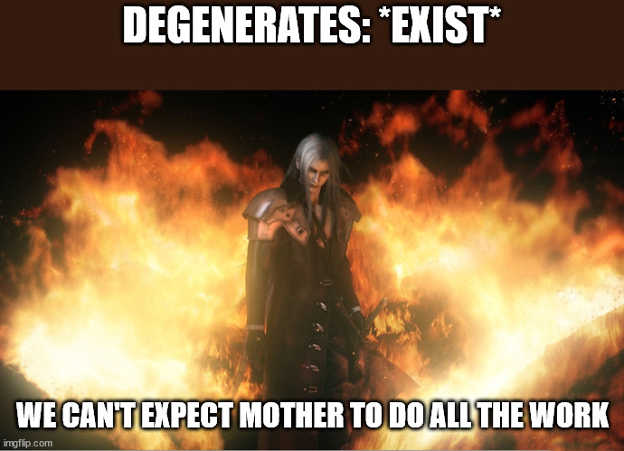 A Holy Crusade by Those Chosen By the Planet. | DEGENERATES: *EXIST*; WE CAN'T EXPECT MOTHER TO DO ALL THE WORK | image tagged in sephiroth in fire | made w/ Imgflip meme maker