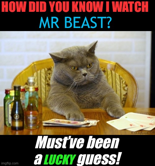 Gambling Sad Cat | HOW DID YOU KNOW I WATCH; MR BEAST? Must’ve been a             guess! LUCKY | image tagged in gambling sad cat | made w/ Imgflip meme maker