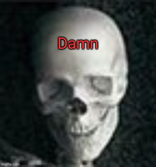 Skull | Damn | image tagged in skull | made w/ Imgflip meme maker