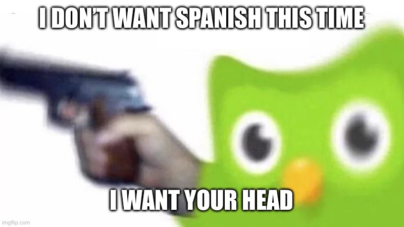 duolingo gun | I DON’T WANT SPANISH THIS TIME I WANT YOUR HEAD | image tagged in duolingo gun | made w/ Imgflip meme maker