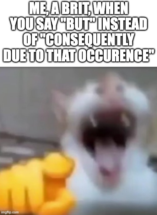 LOL IDIOT *laughs in tea* | ME, A BRIT, WHEN YOU SAY "BUT" INSTEAD OF "CONSEQUENTLY DUE TO THAT OCCURENCE" | image tagged in cat pointing and laughing,memes,uk | made w/ Imgflip meme maker