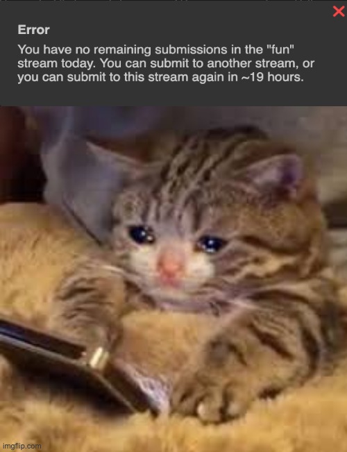 NOOOOO | image tagged in sad cat looking at phone,imgflip,memes,imgflip submissions | made w/ Imgflip meme maker