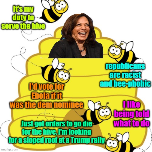 Democrat drones serving the queen | It's my duty to serve the hive; republicans are racist and bee-phobic; I'd vote for Ebola if it was the dem nominee; I like being told what to do; Just got orders to go die for the hive, I'm looking for a sloped roof at a Trump rally | image tagged in trump,maga,election 2024,kamala harris,drones,democrats | made w/ Imgflip meme maker