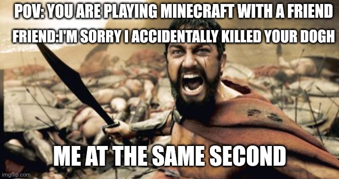 Sparta Leonidas | POV: YOU ARE PLAYING MINECRAFT WITH A FRIEND; FRIEND:I'M SORRY I ACCIDENTALLY KILLED YOUR DOGH; ME AT THE SAME SECOND | image tagged in memes,sparta leonidas | made w/ Imgflip meme maker