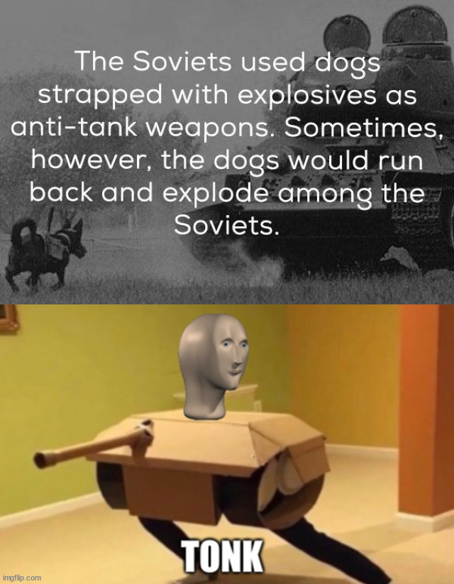 Tanks dogs | image tagged in tonk | made w/ Imgflip meme maker