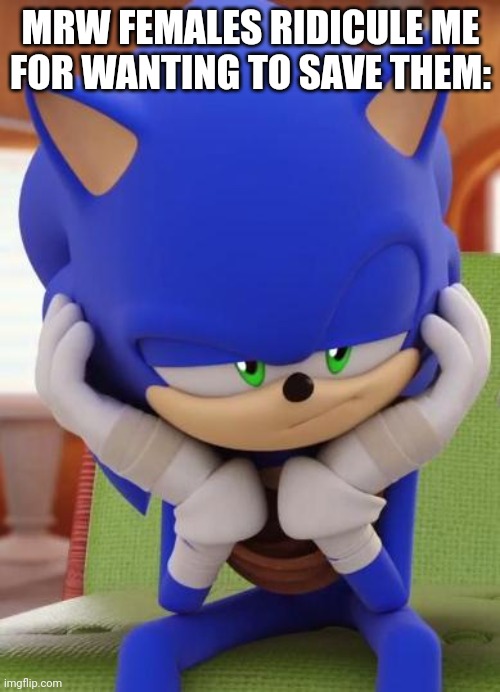 Disappointed Sonic | MRW FEMALES RIDICULE ME
FOR WANTING TO SAVE THEM: | image tagged in disappointed sonic | made w/ Imgflip meme maker