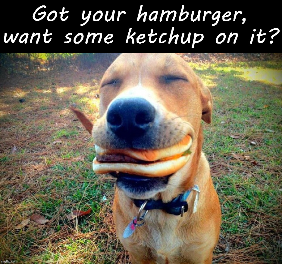 So helpful | Got your hamburger, want some ketchup on it? | image tagged in dogs | made w/ Imgflip meme maker