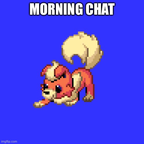 Hai | MORNING CHAT | image tagged in rockytheflareon temp | made w/ Imgflip meme maker