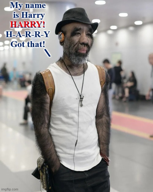 The trouble w/ names like Frank, Ernest & Hairy... I mean Harry | My name
 is Harry
HARRY!
H-A-R-R-Y
Got that! HARRY! \ | image tagged in vince vance,harry,hairy,memes,beard,mustache | made w/ Imgflip meme maker