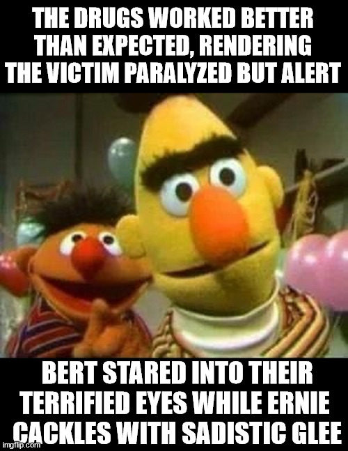 Bert and Ernie | THE DRUGS WORKED BETTER THAN EXPECTED, RENDERING THE VICTIM PARALYZED BUT ALERT; BERT STARED INTO THEIR TERRIFIED EYES WHILE ERNIE 
CACKLES WITH SADISTIC GLEE | image tagged in dark humor | made w/ Imgflip meme maker