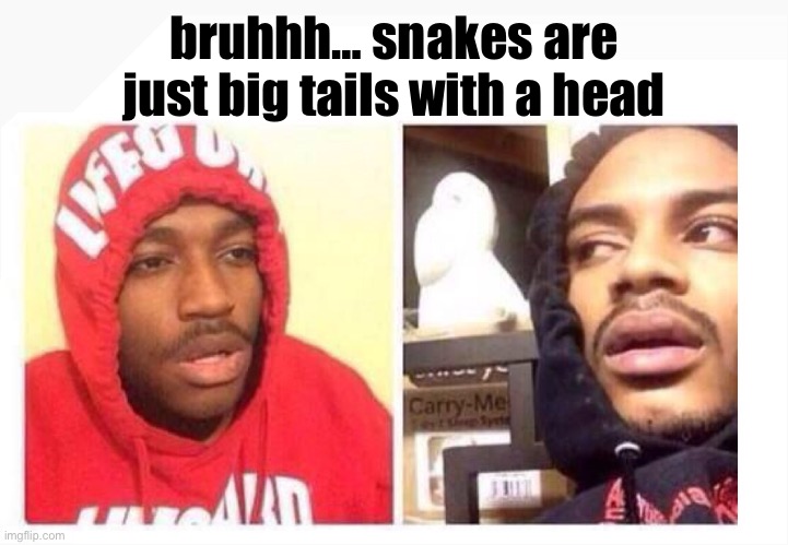 This just occurred to me… | bruhhh… snakes are just big tails with a head | image tagged in hits blunt,stoned guy,blunt thoughts,shower thoughts,snakes,bruh moment | made w/ Imgflip meme maker