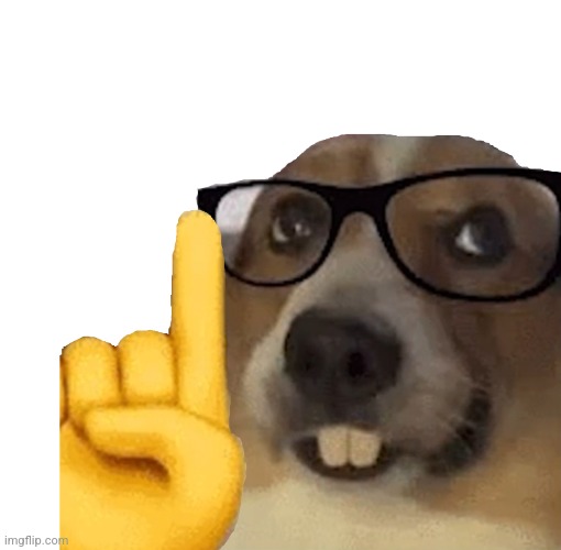 Actually dog | image tagged in actually dog | made w/ Imgflip meme maker