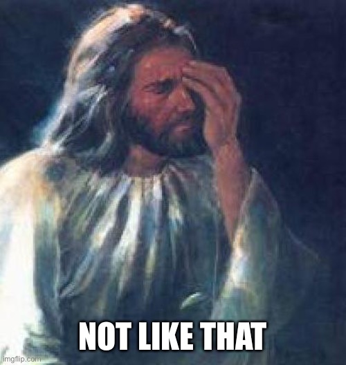 jesus facepalm | NOT LIKE THAT | image tagged in jesus facepalm | made w/ Imgflip meme maker